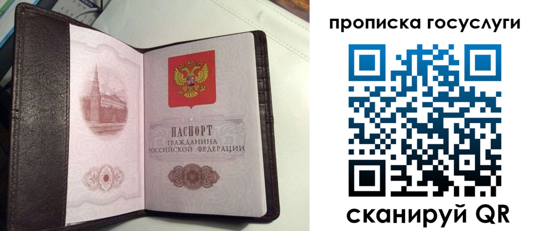 временная прописка в Выборге